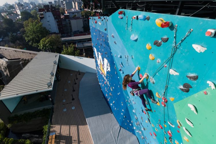 escalando el muro the wall
