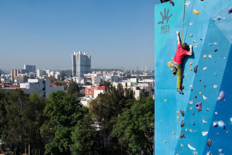 escalando el muro the wall